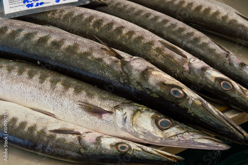 Fischmarkt in Split, Kroatien photo