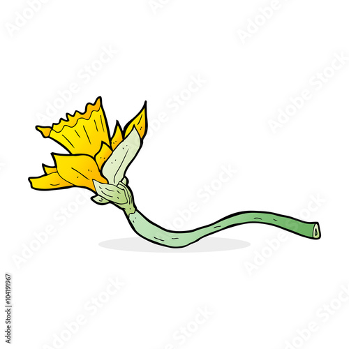 cartoon daffodil flower