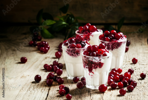 Sweet dessert of vanilla ice cream with cranberry sauce and berr photo