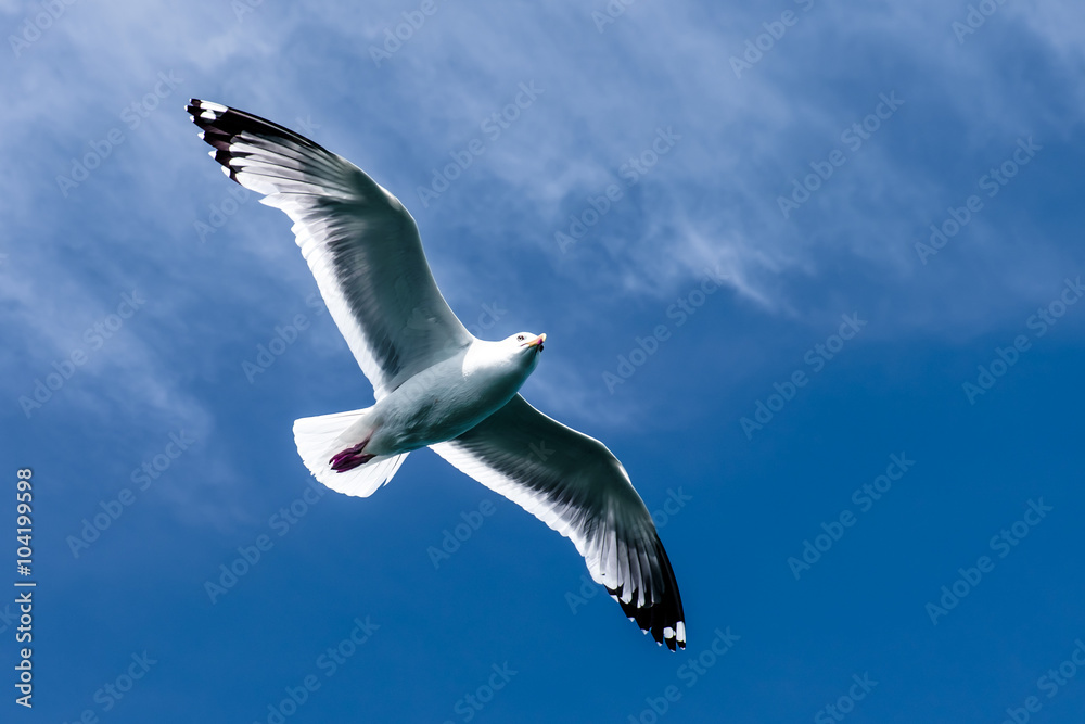 Obraz premium Day watch