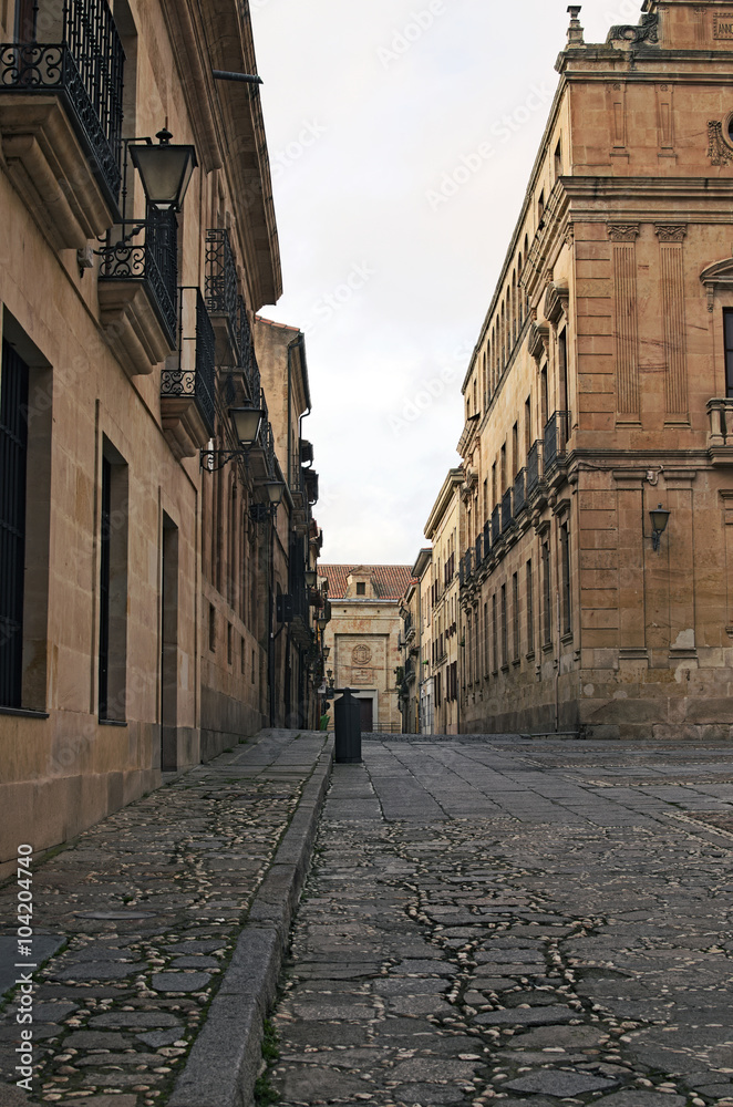 Medieval street in the old town. Salamanca. Spain.