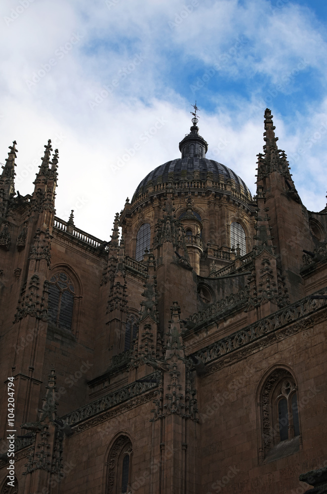 New Cathedral of Salamanca is incredibly beautiful and huge. Salamanca. Spain