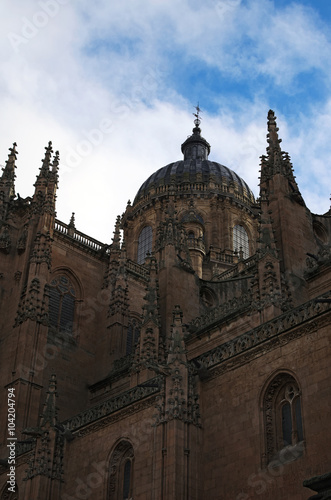 New Cathedral of Salamanca is incredibly beautiful and huge. Salamanca. Spain