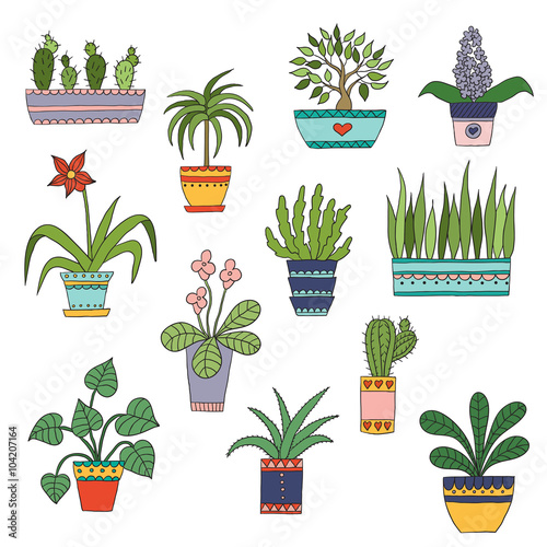 Cute hand drawn vector flowers in the pots.