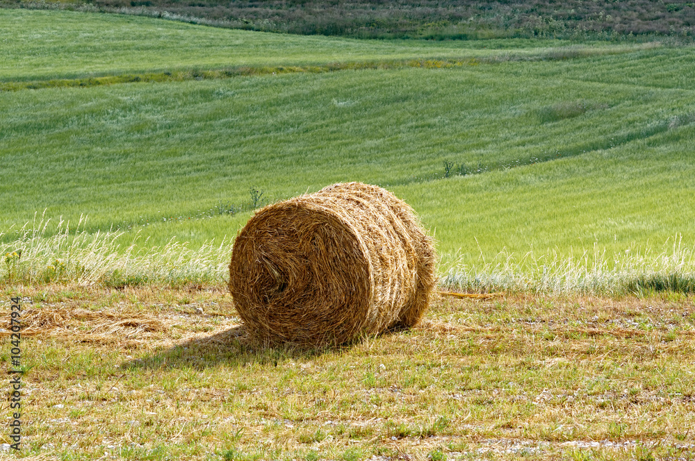 Hay rolled in bales. Italy. Castelluccio di norcia. Hay rolled in bales. Italy. Castelluccio di norcia.