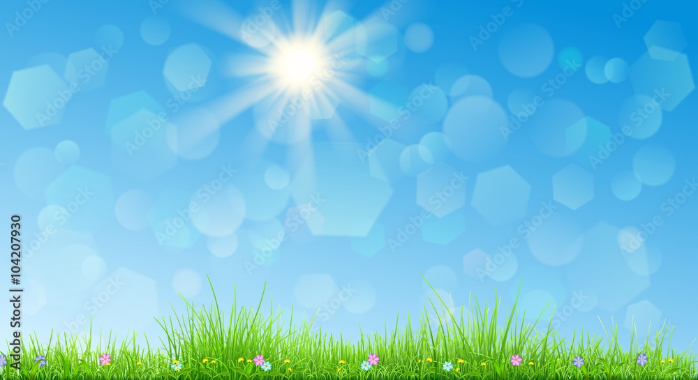 Spring background with green grass