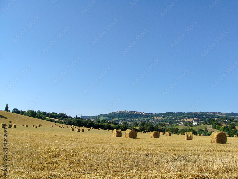Hay rolled in bales. Italy. Castelluccio di norcia.