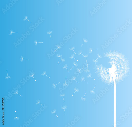 Abstract dandelion background vector illustration springtime