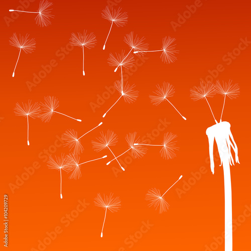 Abstract dandelion background vector illustration springtime