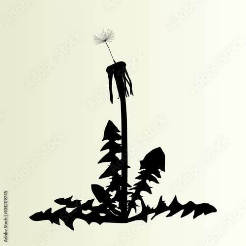 Abstract dandelion background vector illustration springtime