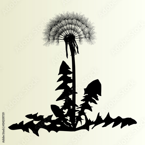 Abstract dandelion background vector illustration springtime