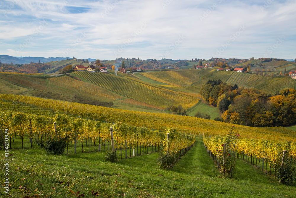 Naklejka premium herbstlich verfärbte Weinberge in der Südsteiermark