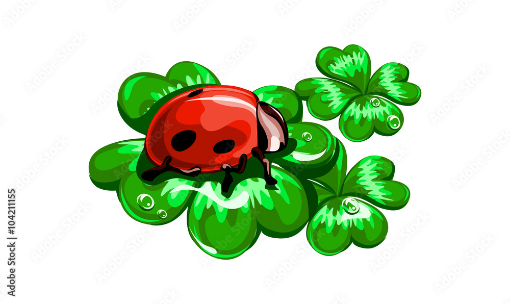 Obraz premium божья коровка на клевере