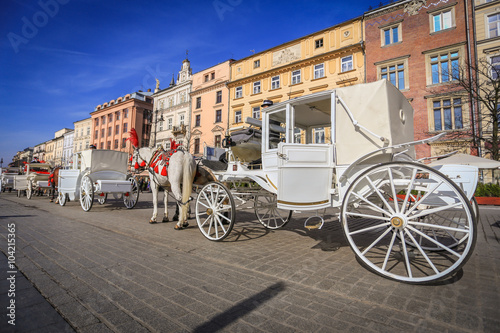 Hansom cab on the old Town in Cracow