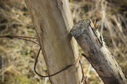 Old rusty barbed wire in field closeup