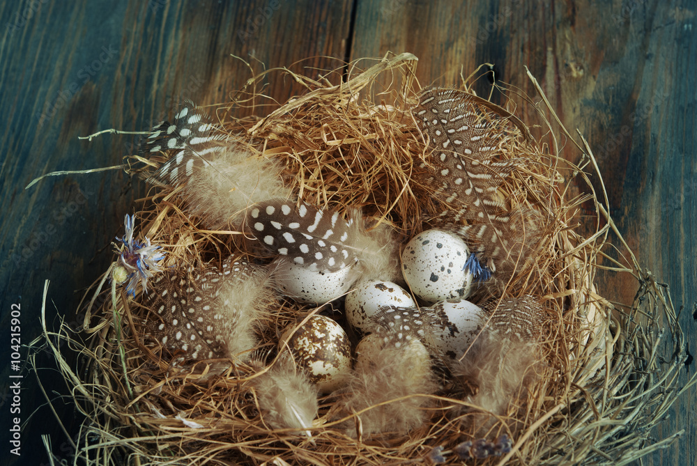 Easter nest Easter nest