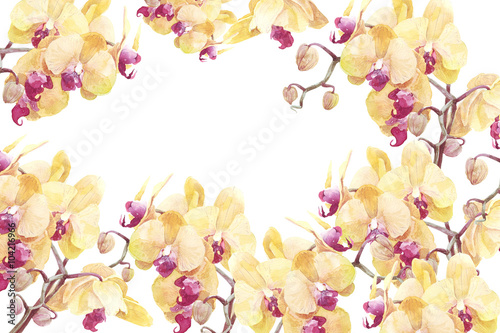 orchid flower print in soft colors  watercolor
