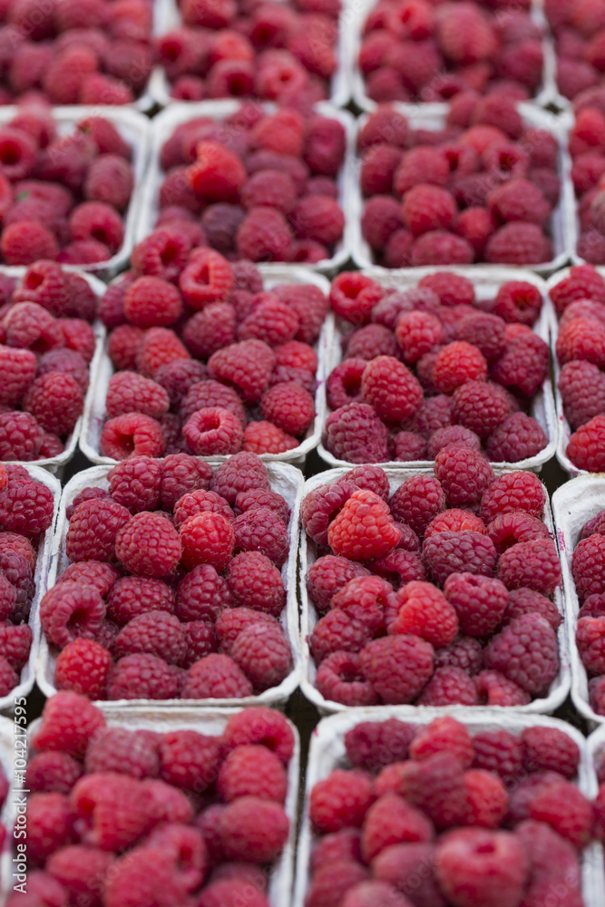 Red raspberries in boxes at local farm market
