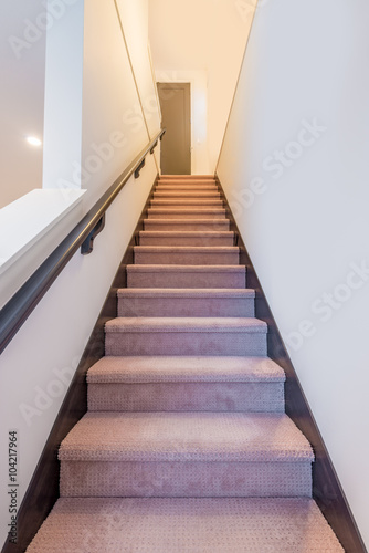 Stairs with carpet in a house.
