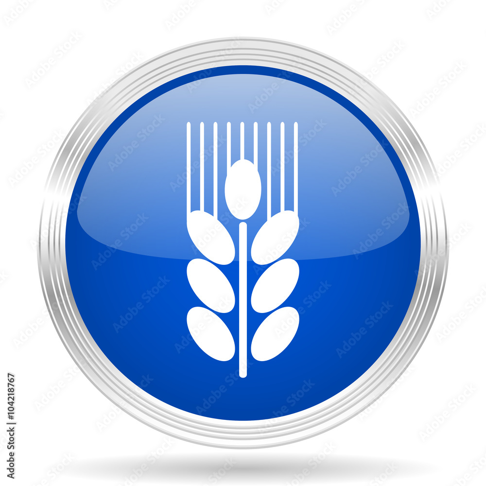 grain blue silver metallic metallic chrome web circle glossy icon grain blue silver metallic metallic chrome web circle glossy icon