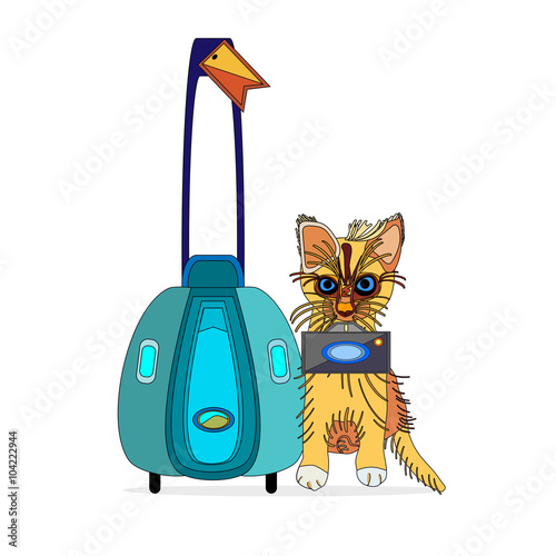cat the explorer