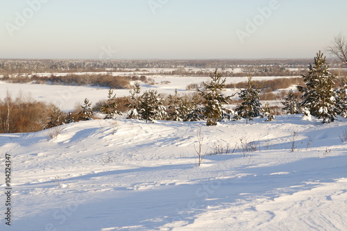 Снежное поле и ели в снегу зимним солнечным днем © keleny