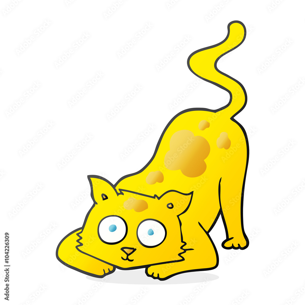 cartoon cat cartoon cat