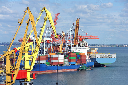 Cargo crane and container ship