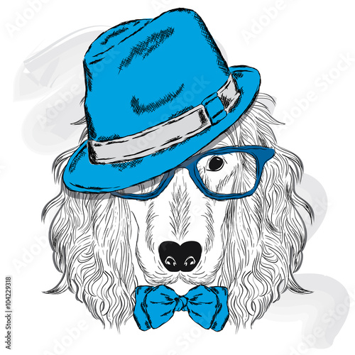 Spaniel vector . Pedigree dog. Cute puppy. Spaniel wearing a hat , sunglasses and a tie . 