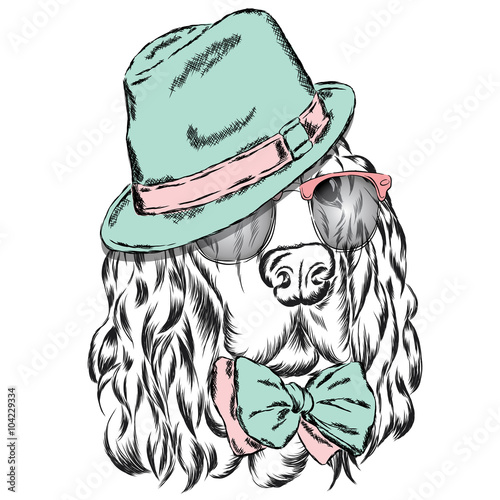 Spaniel vector . Pedigree dog. Cute puppy. Spaniel wearing a hat , sunglasses and a tie . 
