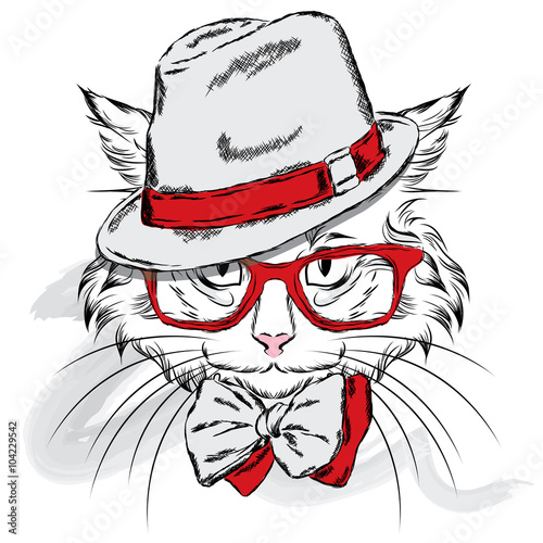 Cat vector. Cartoon cat. Cute cat in the clothes. Hip-hop. Cat in a cap and glasses. Hipster. Postcard with the cat.