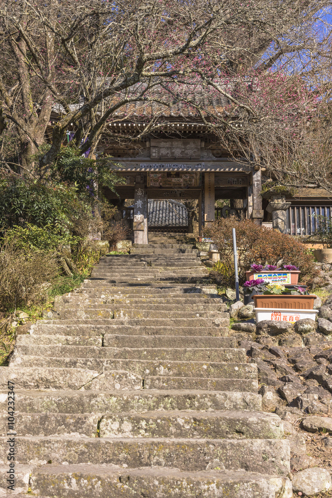 Fototapeta premium 豊後高田市の富貴寺