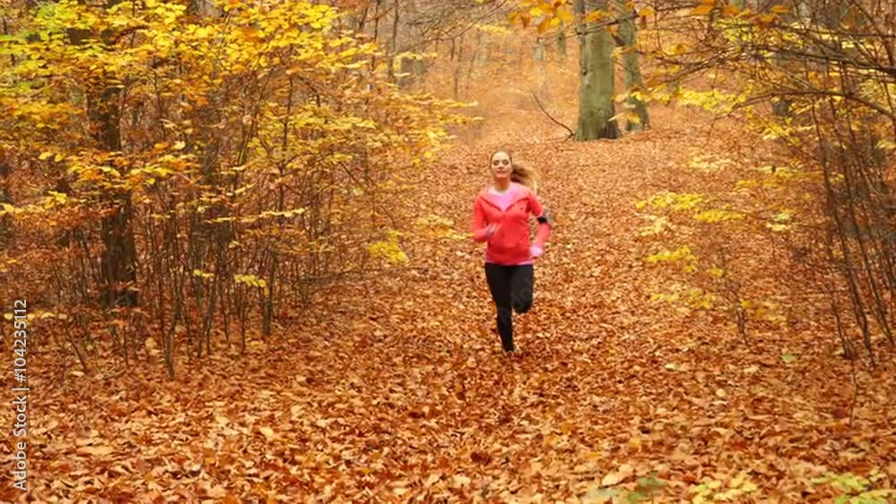 Woman running in autumn forest park steadicam 4K. Woman running in autumn forest park steadicam 4K.