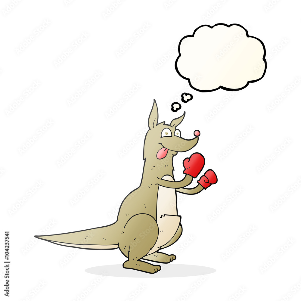 thought bubble cartoon boxing kangaroo thought bubble cartoon boxing kangaroo