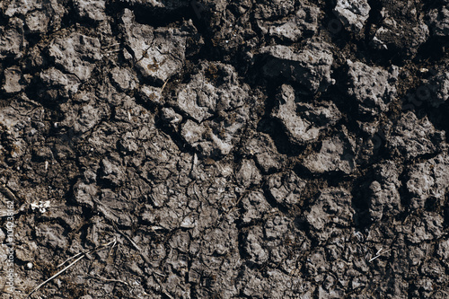 Crack soil on dry section