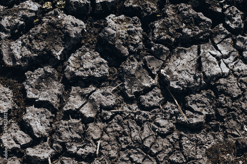 Crack soil on dry section