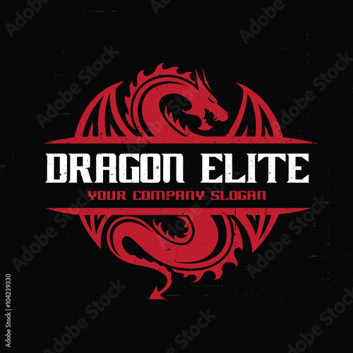 Dragon logo,Animal logo,tattoo,Vector Logo template