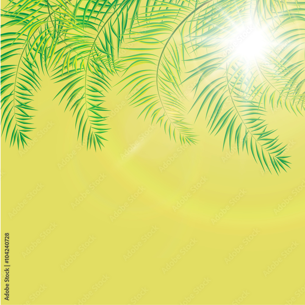 Vector Illustration of a Natural Background with Palm Trees