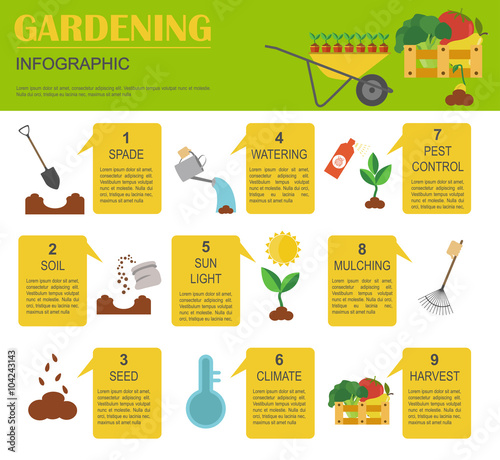 Gardening work, farming infographic. Graphic template. Flat styl