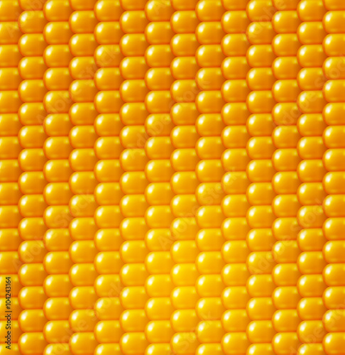 vector background. Yellow corn