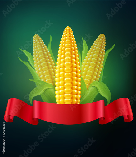 vector background with  cobs of corn and red ribbon