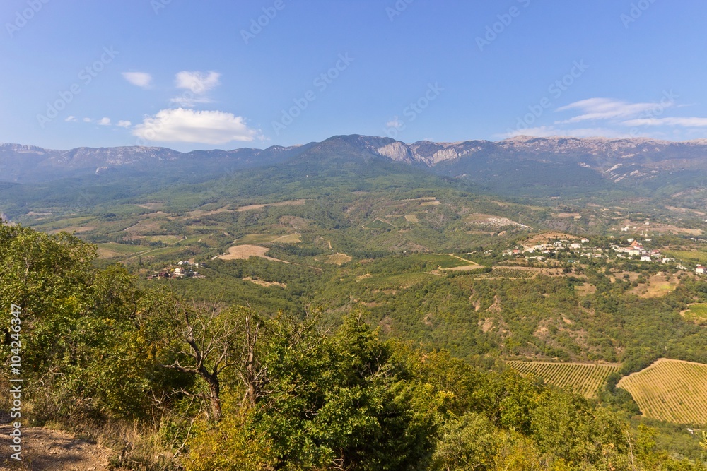 Obraz premium Beautiful summer landscape