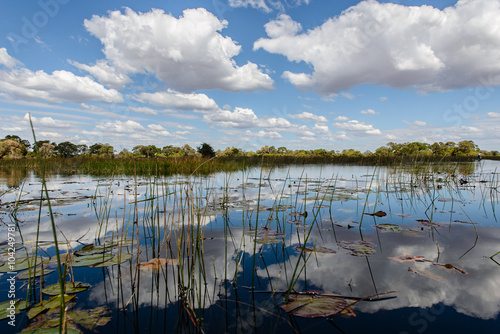 Okavango river