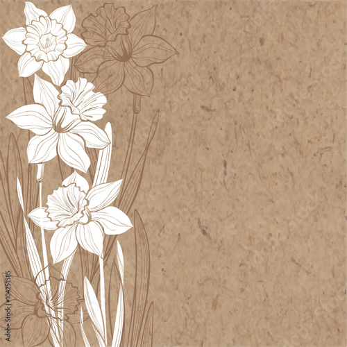 Hand-drawn vector background with spring flowers daffodils.
