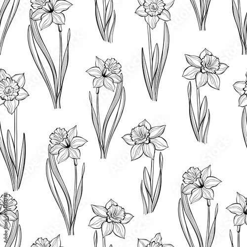 Seamless pattern with daffodils. Hand-drawn  black-white vector background.