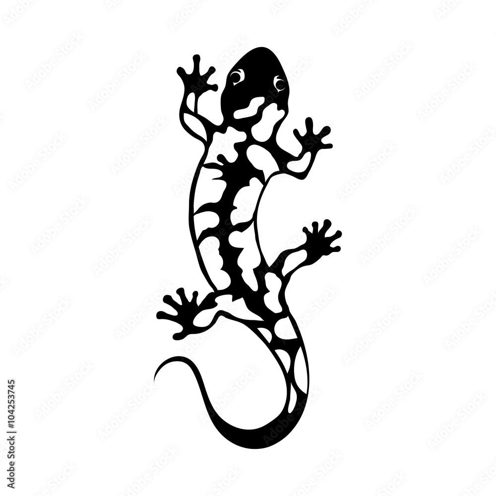 Naklejka premium salamander logo