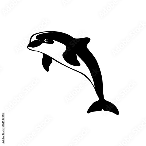 dolphin logo