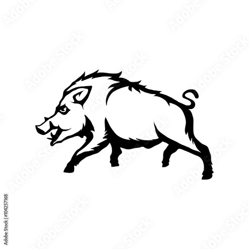 Boar logo