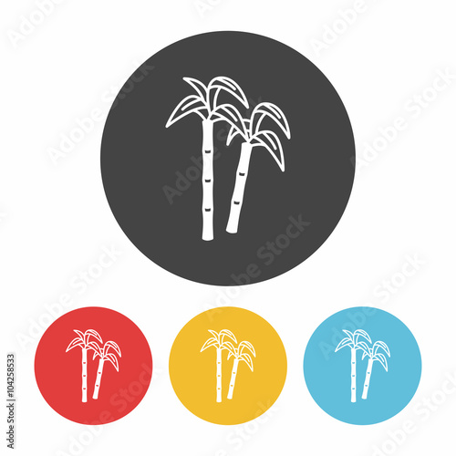 fruits sugarcane icon