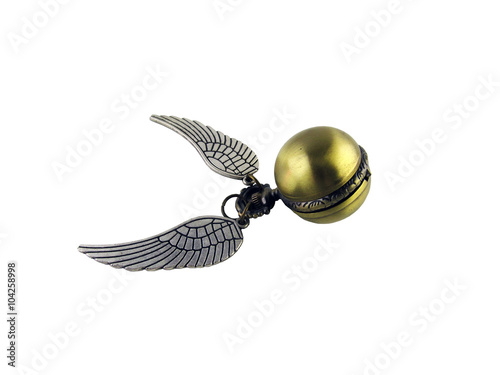 Quadro su tela Golden Snitch